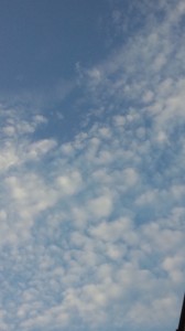 130625_1831