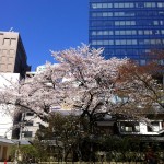 sakura2012